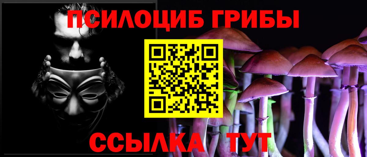 Галлюциногенные грибы ЛСД  Псилоцибиновые грибы Psilocybe  Кинель  Вход с VPN 