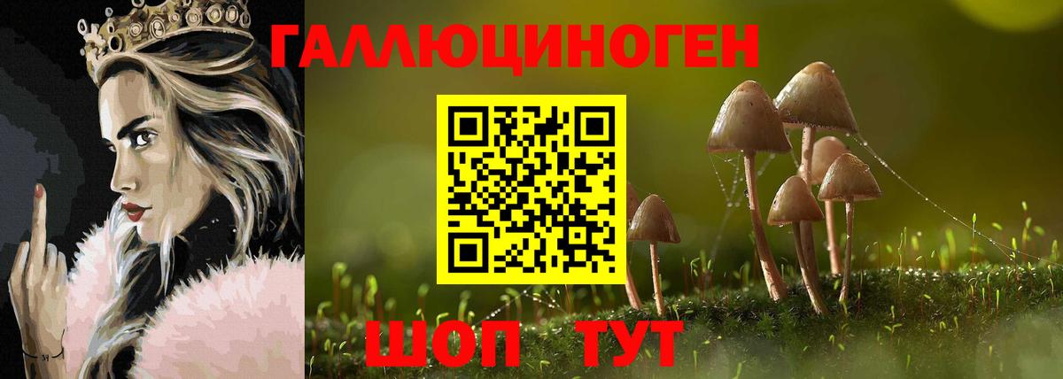 Галлюциногенные грибы Cubensis Кинель